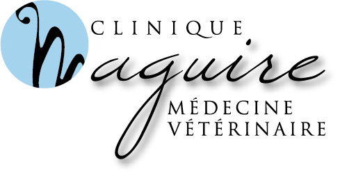 Clinique dentaire Maguire