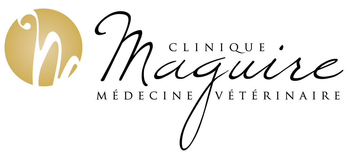 Clinique Maguire Médecine Vétérinaire
